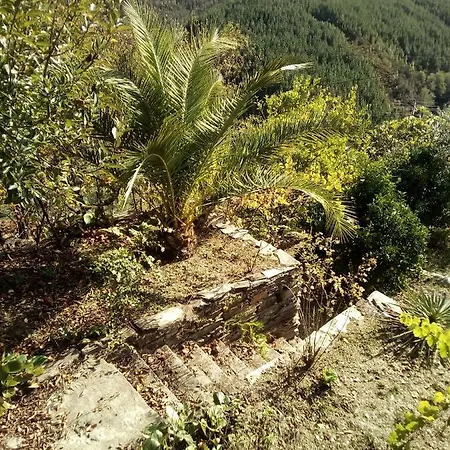 Quinta Silva Holiday home